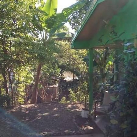 Casa Flor De Annia ~ Cozy 2 Bdrm On The River Sierpe ~ Walkable To Town Exterior foto