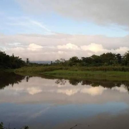 Casa Flor De Annia ~ Cozy 2 Bdrm On The River Sierpe ~ Walkable To Town Exterior foto