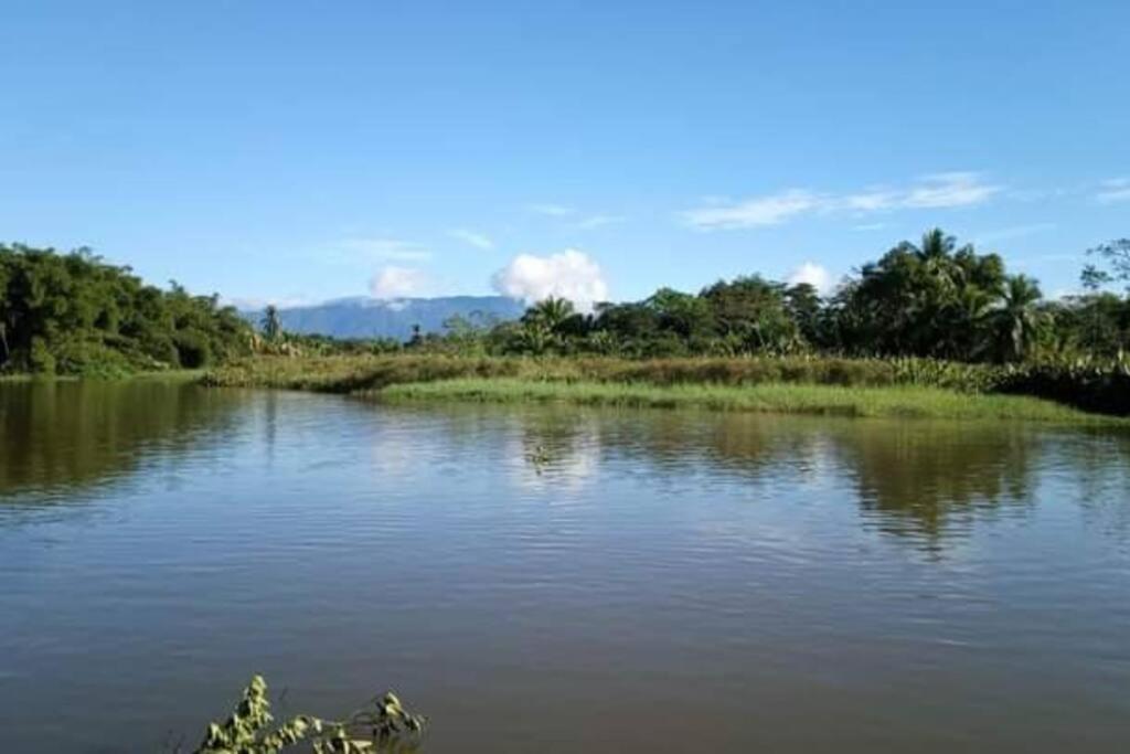 Casa Flor De Annia ~ Cozy 2 Bdrm On The River Sierpe ~ Walkable To Town Exterior foto