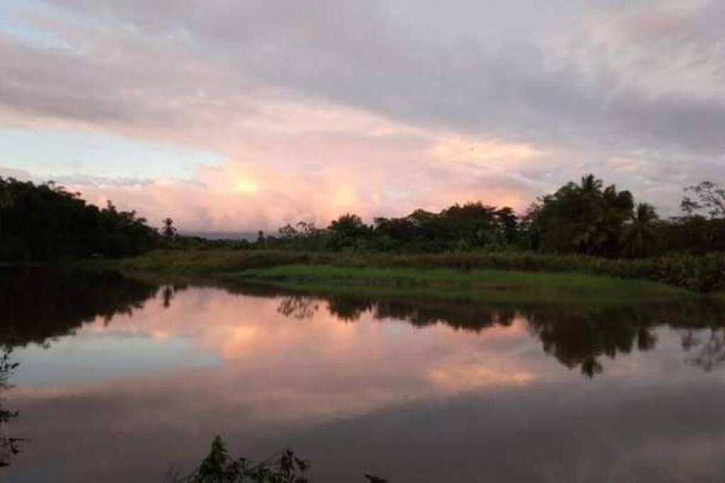 Casa Flor De Annia ~ Cozy 2 Bdrm On The River Sierpe ~ Walkable To Town Exterior foto