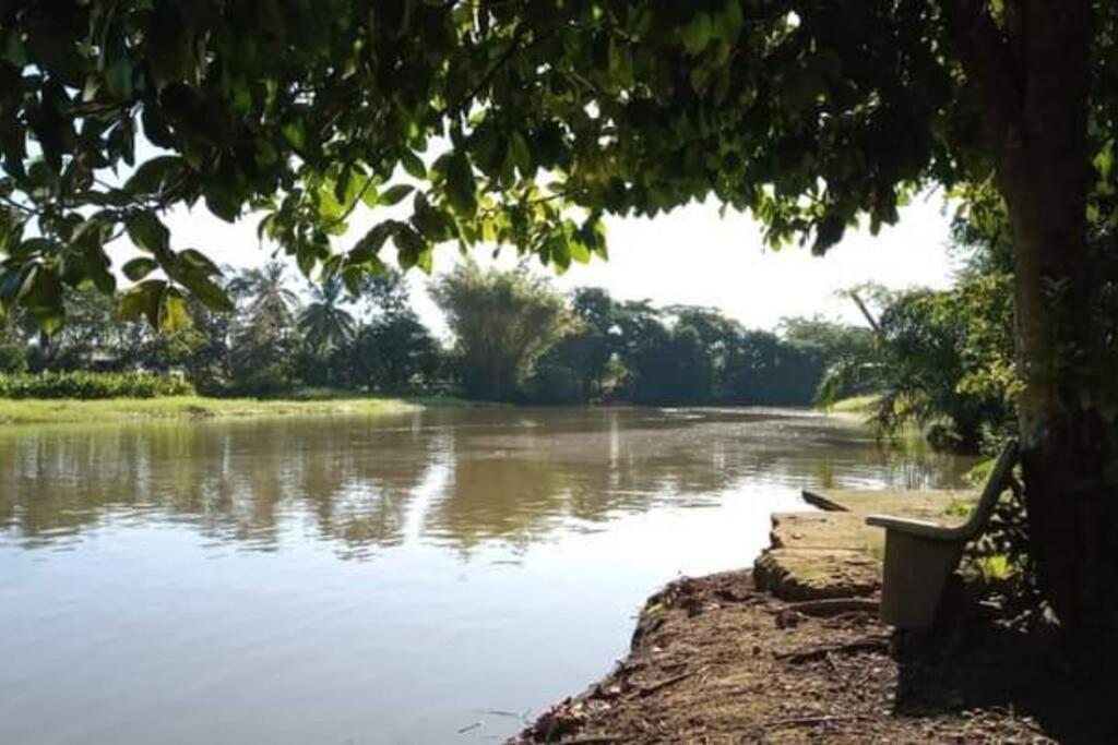 Casa Flor De Annia ~ Cozy 2 Bdrm On The River Sierpe ~ Walkable To Town Exterior foto