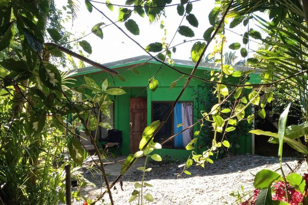 Casa Flor De Annia ~ Cozy 2 Bdrm On The River Sierpe ~ Walkable To Town Exterior foto
