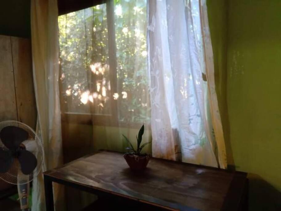 Casa Flor De Annia ~ Cozy 2 Bdrm On The River Sierpe ~ Walkable To Town Exterior foto