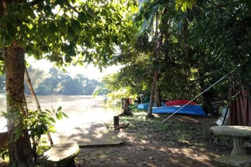Casa Flor De Annia ~ Cozy 2 Bdrm On The River Sierpe ~ Walkable To Town Exterior foto